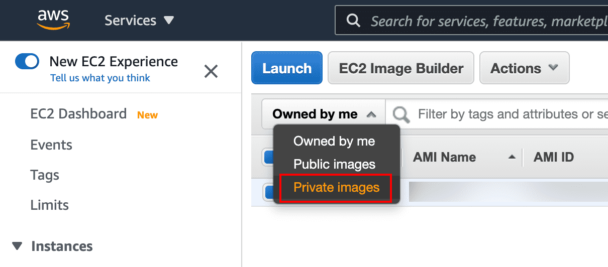 _images/LP_Cloud_AWS_EC2_AMIs_PrivateImagesSelected.png