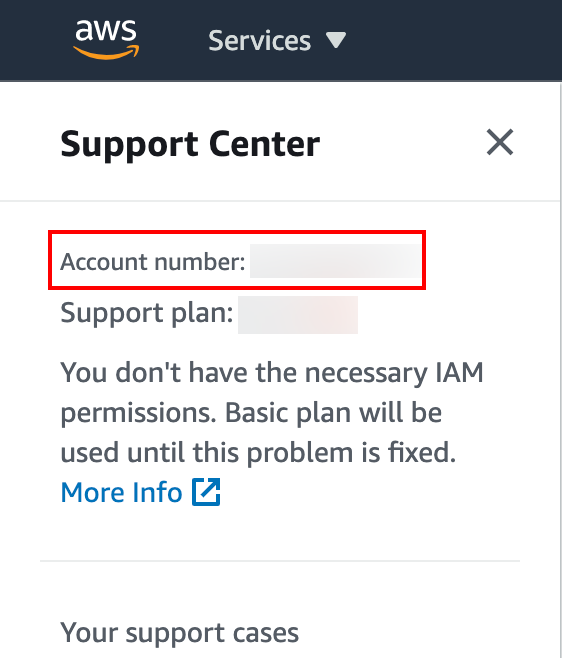 _images/LP_Cloud_AWS_AccountNumber.png